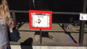 Kallie Taylor Farm Date Part 1